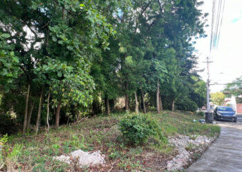 obra vial  Se oponen a ruta del Monorriel que afecta bosque en Santiago