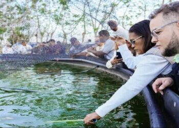 El FEDA entrega proyecto de crianza de tilapias para promover acuicultura en La Altagracia