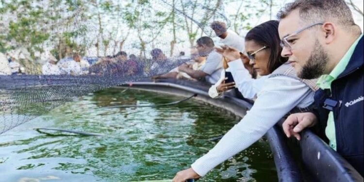 El FEDA entrega proyecto de crianza de tilapias para promover acuicultura en La Altagracia
