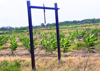 Un proyecto “con todo”, pero no produce nada