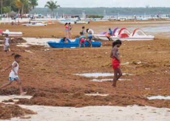 RD pide ante la Unesco que el sargazo sea declarado emergencia ambiental que afecta al Caribe
