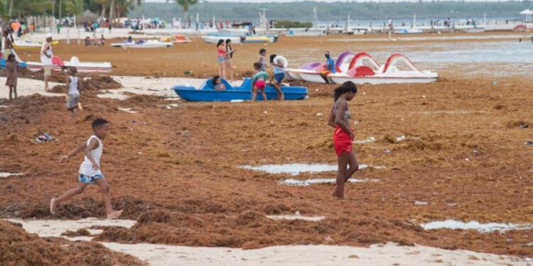 RD pide ante la Unesco que el sargazo sea declarado emergencia ambiental que afecta al Caribe
