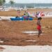 RD pide ante la Unesco que el sargazo sea declarado emergencia ambiental que afecta al Caribe