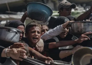 La ONU reivindica que hay hambruna en la Franja de Gaza