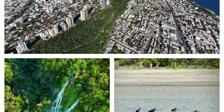 encuentro verde (1 de 2) Informe GEO-2024 sobre el estado del medio ambiente en RD: “Un informe muy transparente que nos permite orientar o diseñar nuevas políticas ambientales”