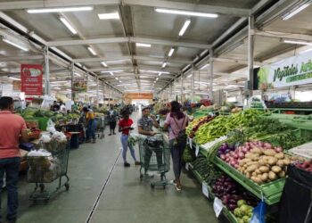 El Gobierno reduciría varias partidas del gasto hacia 2029