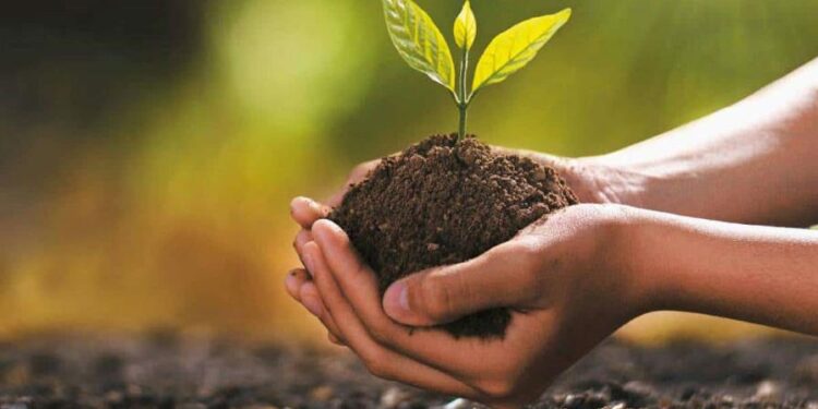Innovación climática: el camino urgente hacia soluciones transformadoras