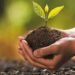 Innovación climática: el camino urgente hacia soluciones transformadoras