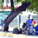 Insalubridad afecta entornos de hospitales de Santo Domingo