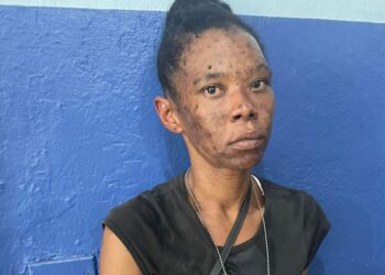 PN detiene a mujer acusada de múltiples robos de plantas ornamentales y objetos en La Romana