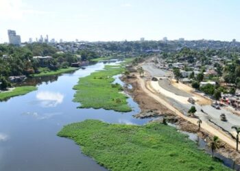 Lilas del Ozama: El verdor que evidencia nuestro mayor crimen ambiental