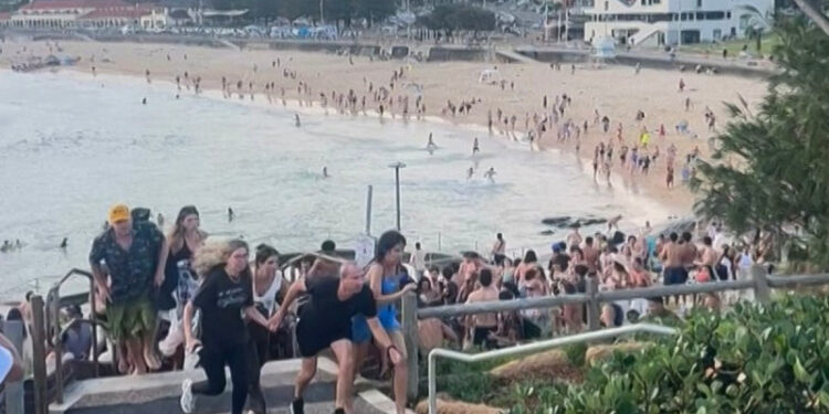 Atentado australia Autoridades australianas identifican a padre e hijo como autores del atentado de Bondi