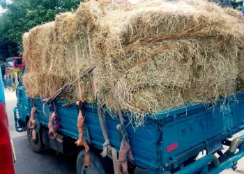 Ejército ocupa 280 mil cigarrillos en Montecristi