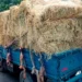 Ejército ocupa 280 mil cigarrillos en Montecristi