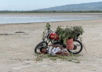 Cómo la percepción y las emociones normalizan el deterioro ambiental