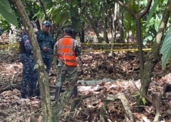 brianna genao  Autoridades investigan hallazgo de nueva evidencia en caso de niña Brianna