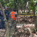 brianna genao Autoridades investigan hallazgo de nueva evidencia en caso de niña Brianna