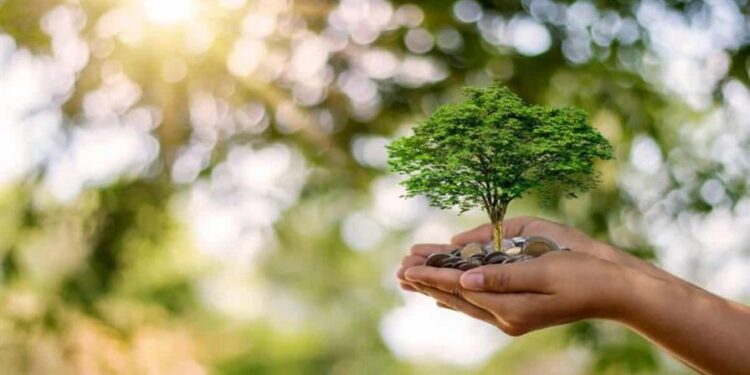 Silencio administrativo: el costo invisible de la demora ambiental