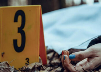 feminicida Inseguridad, menos sustancia gris y carencias familiares: Principal perfil de un feminicida
