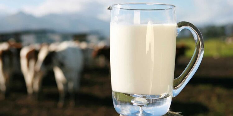 La leche dominicana y la productividad como una decisión de país