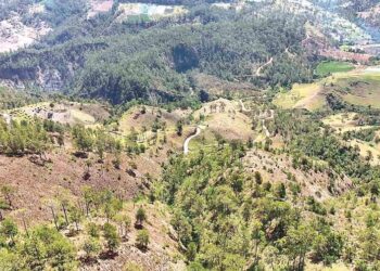 Las remotas lomas de Ocoa se enfrentan al espejo del narcocultivo