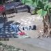 Abatidos por la Policía superan los 142 muertos en primer semestre de 2026