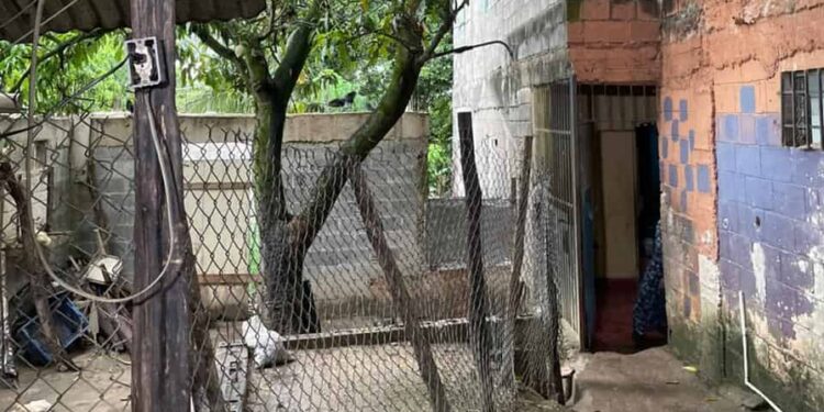 Así es la fundación donde un niño se fugó y otros 13 fueron rescatados por presunto maltrato