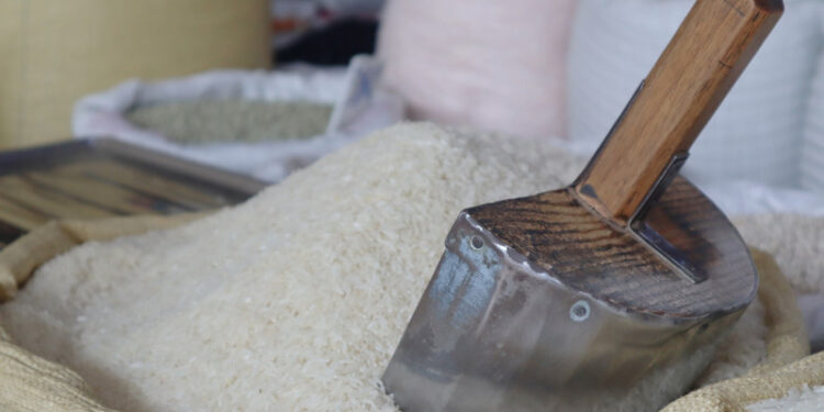 Sector arrocero muestra preocupación ante derogación de aranceles a la importación de arroz