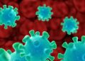Reportan la primera muerte en un humano por el virus Shamonda