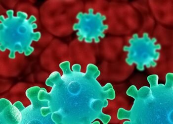 Reportan la primera muerte en un humano por el virus Shamonda