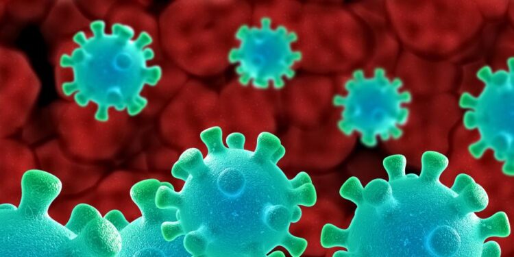 Reportan la primera muerte en un humano por el virus Shamonda