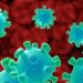 Reportan la primera muerte en un humano por el virus Shamonda